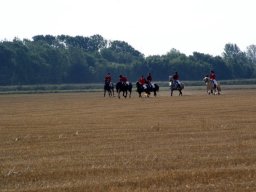 558453_10151090365513585_542245940_n